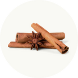 Ceylon Cinnamon Icon